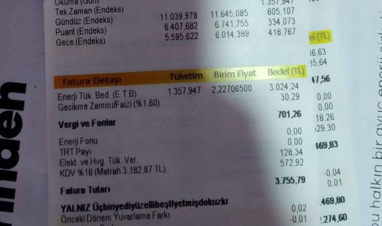 SOL Parti kampanya başlattı: Elektrik faturaları davalık oluyor