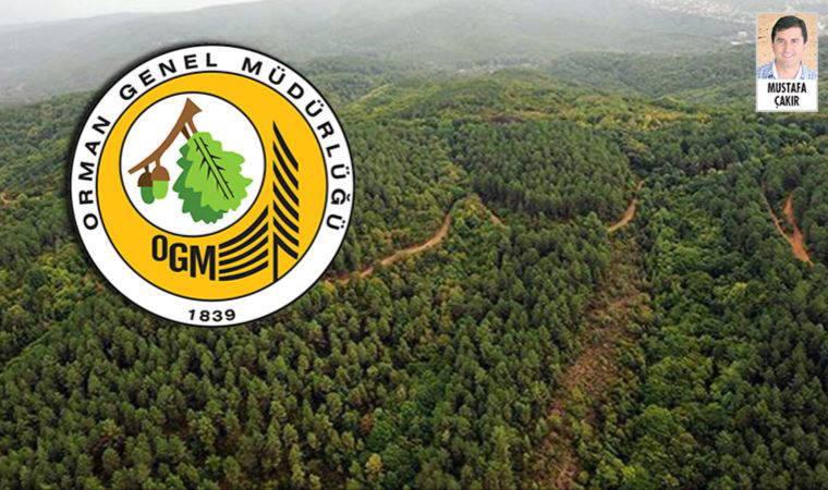 Orman yangınlarına müdahale için Havacılık Dairesi Başkanlığı kuruldu