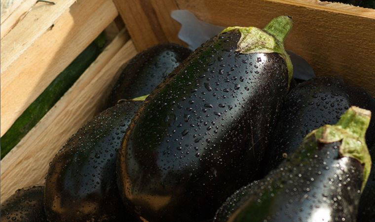 Sigarayı bırakmak isteyenlere 'patlıcan' önerisi