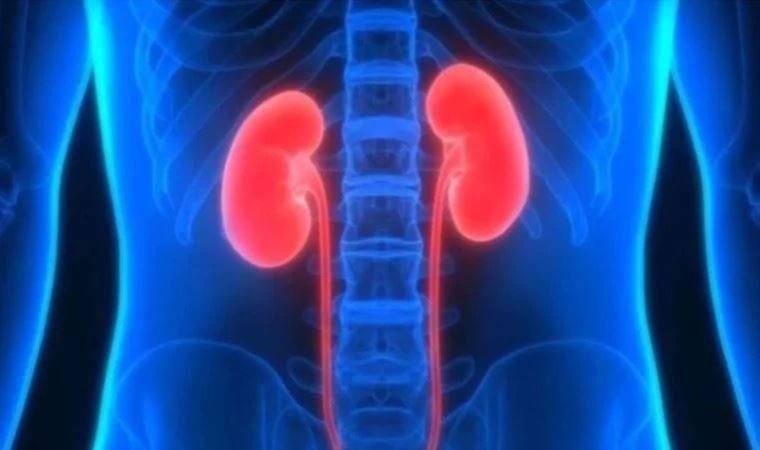 Uzmanlar uyardı: 'Koronavirüs böbrekleri de etkiliyor'
