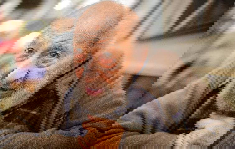 Tarkan, Ara Güler'i 'Gerçek mi bu?' sözleriyle andı