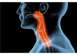 Asla ihmal edilmemeli: Geniz akıntısının sebepleri neler ve tedavisi nasıl olmalı?