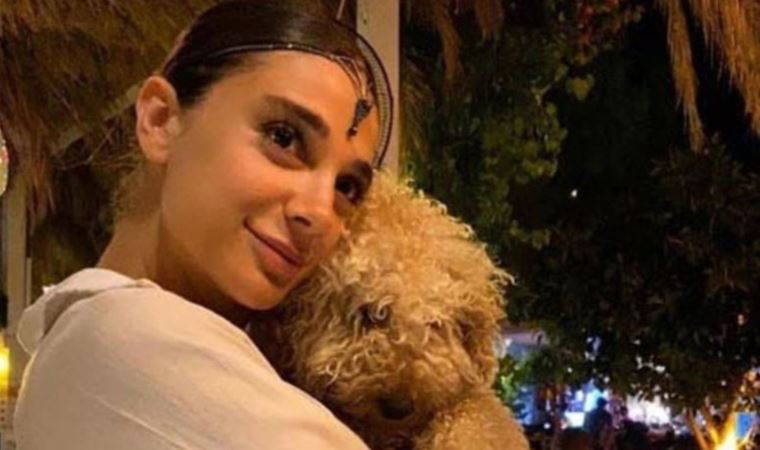 Pınar Gültekin cinayetinde yeni gelişme (15 Mart 2022) (Video Haber)