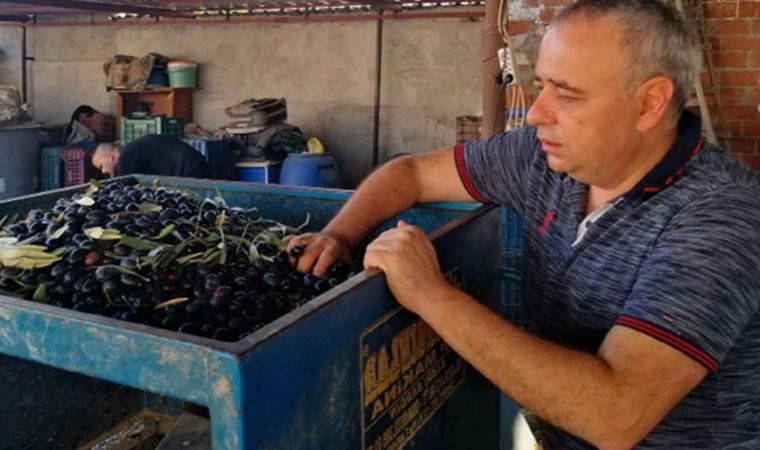 Zeytinyağı ihracatı yasağı Meclis gündeminde: 100 bin ton fazlamız var