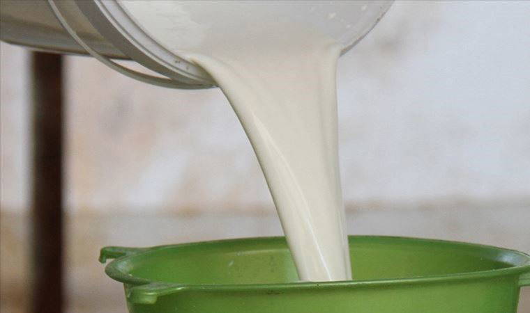 Çiğ sütte litre başına destek 20 kuruştan 1 liraya yükseltildi