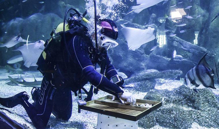 'Akvaryum Adam' rekor için köpek balıklarının arasında çalıştı