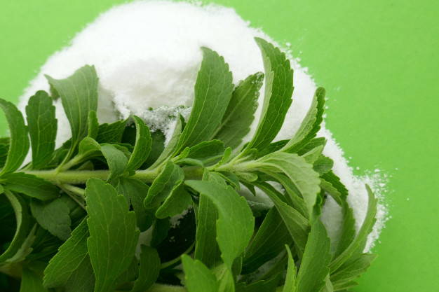 Stevia (şeker otu) nedir, faydaları neler, zararları var mı?