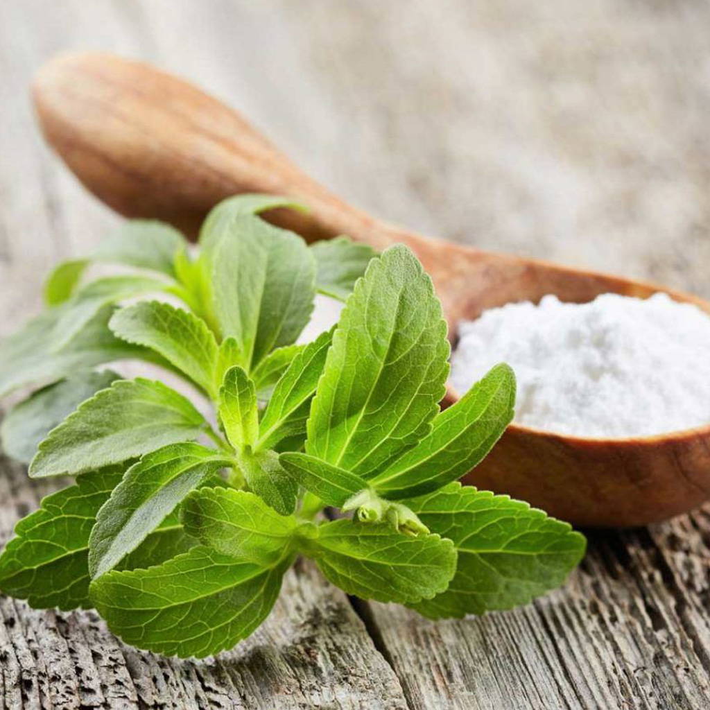 Stevia (şeker otu) nedir, faydaları neler, zararları var mı?