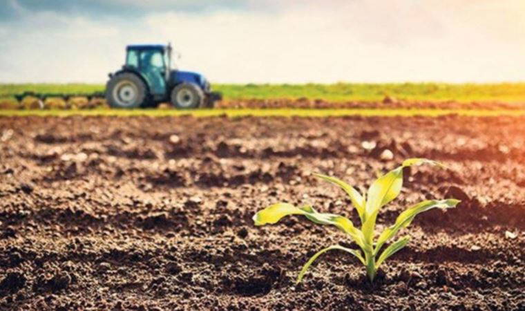 Tarımda 'Sudan' gerçeğini tek tek açıkladı: Haraç, verimsiz toprak ve askeri darbe