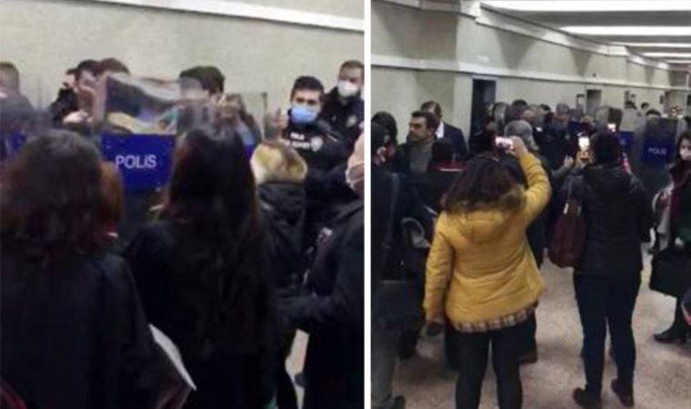 Evinin çatısına çıkan 2 köpeği öldüren şüpheli tutuklandı