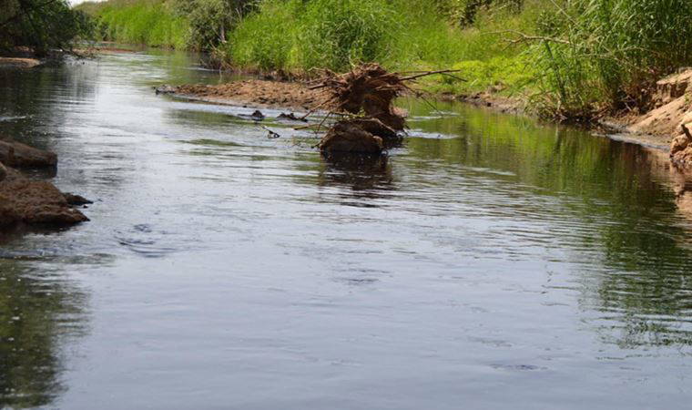 Alaşehir Çayı ıslah ediliyor