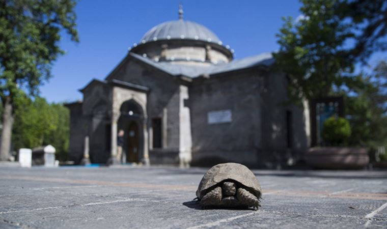 'Ak sakallı, beyaz elbiseli Hızır seni bulacak' deyip kayıplara karıştı
