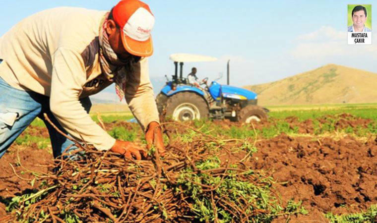İktidarın verdiği desteklerle iki çuval gübre, iki depo mazot bile alınamıyor