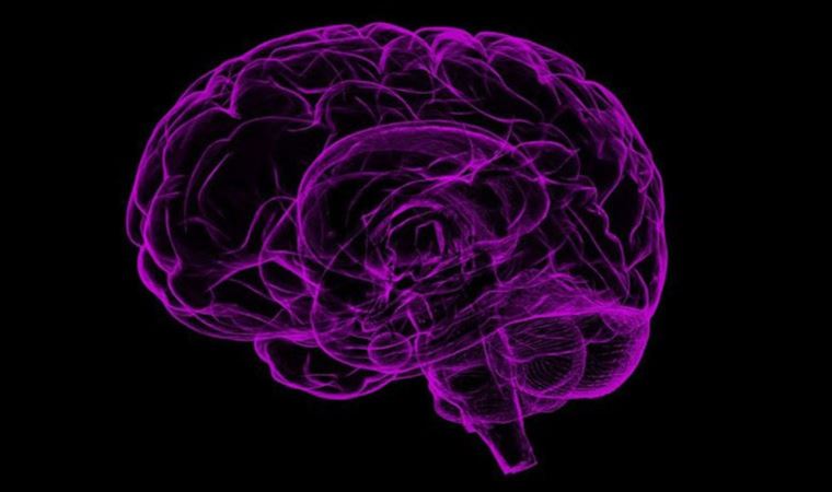 Epilepsi pili 1 yılda nöbetleri yüzde 50 azaltıyor