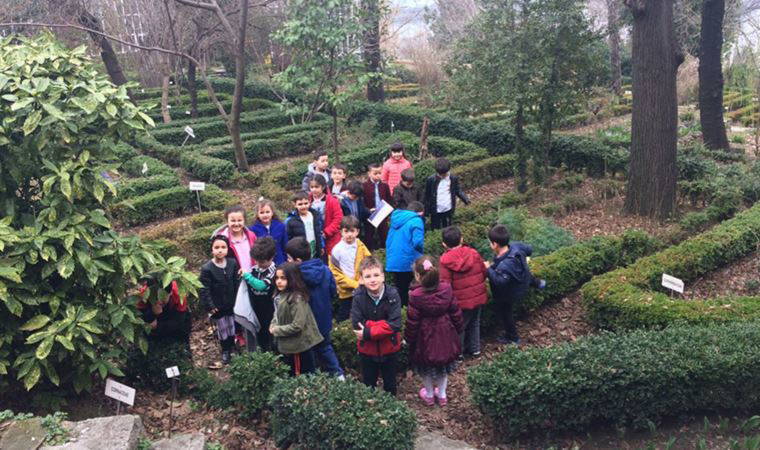 Botanik Bahçesinin Ardından