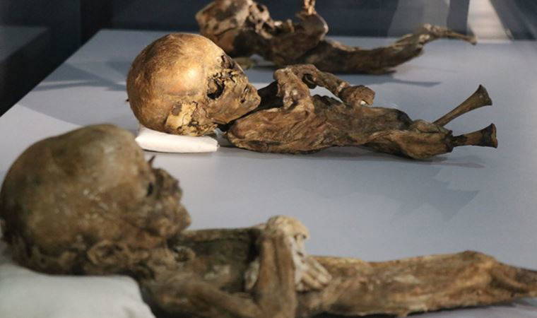 Türkiye'de bin yıllık mumyalar bulundu!