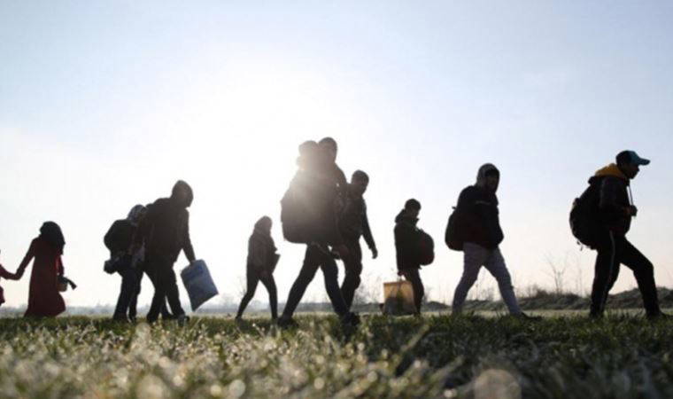 Kırklareli’nde 11 kaçak göçmen yakalandı