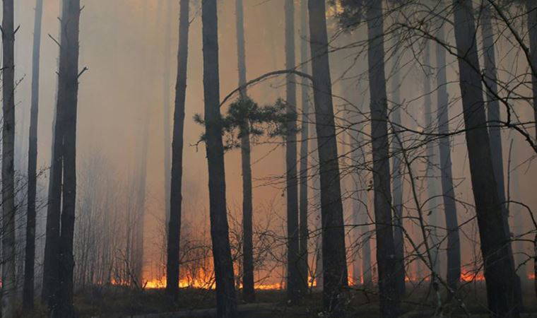 Çernobil'de 31 noktada yangın: Radyasyon seviyesinde artış