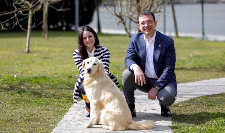 İBB'den 'Can dostlarımızı sahiplen İstanbul' projesi