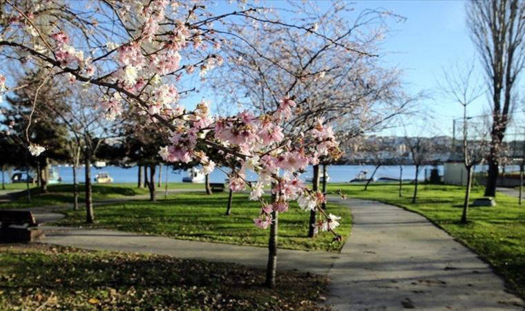 Prof. Dr. Orhan Şen uyardı: 'Baharla birlikte iki tehlike geliyor'