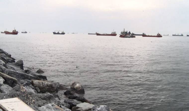 Prof. Dr. Okyar: Marmara Denizi'nde şu an bir müsilaj var