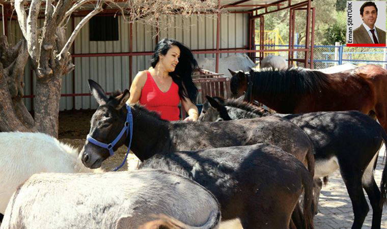 Sokaktan kurtuldular, krizden kurtulamadılar