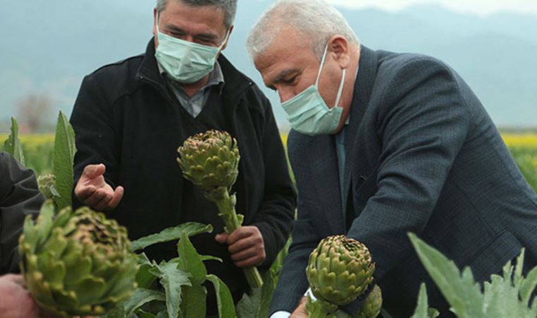 Efeler’in enginarı yavru vatana uzanacak