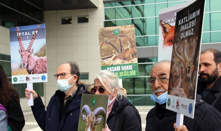 15 kızıl geyiğin avlanması için yapılan ihaleye itiraz edilmişti: Nihai karar 15 gün sonra