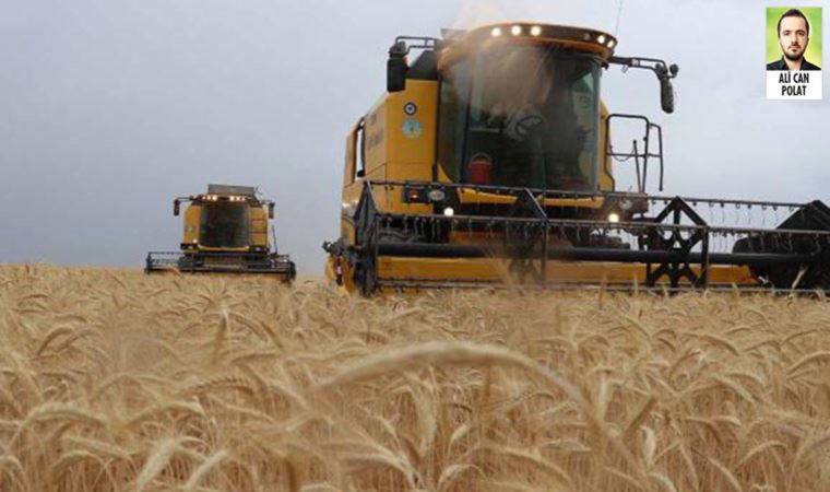 Yıllardır tarımı ihmal eden Türkiye’yi savaş nedeniyle gıda güvenliğinde kötü günler bekliyor
