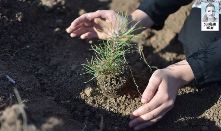 Opet’in ‘Kadın Gücü’ orman oluyor