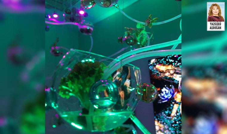 Sanat ve teknoloji, çevreyle iç içe: Ek Biç Ye İç