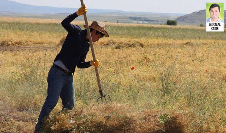 Hükümet, gıda krizine tepkiler artınca geç de olsa çiftçiye ‘hibe’ kartını açtı