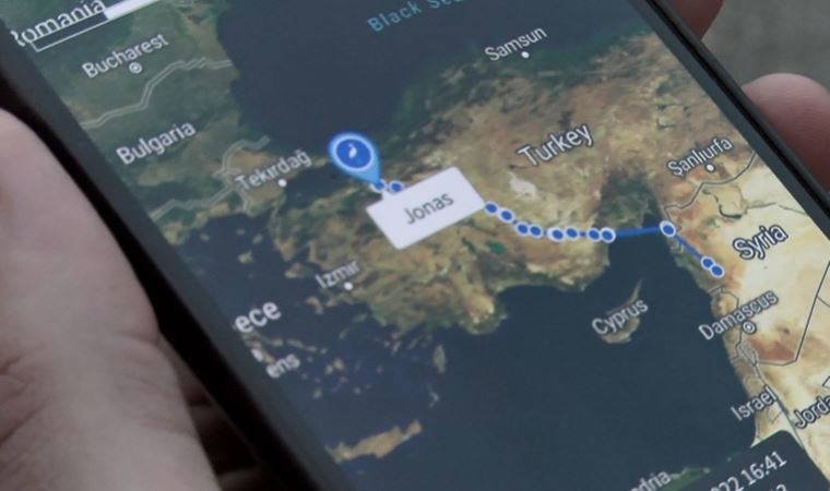 Gazze'den yola çıkmıştı;  'Leylek Jonas' bir haftadır İstanbul'da