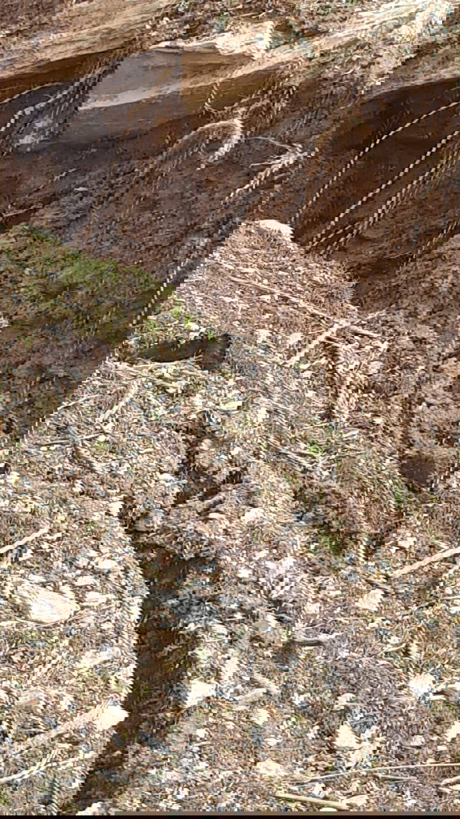 Çığ altında kalan evde şimdi de 'heyelan' riski