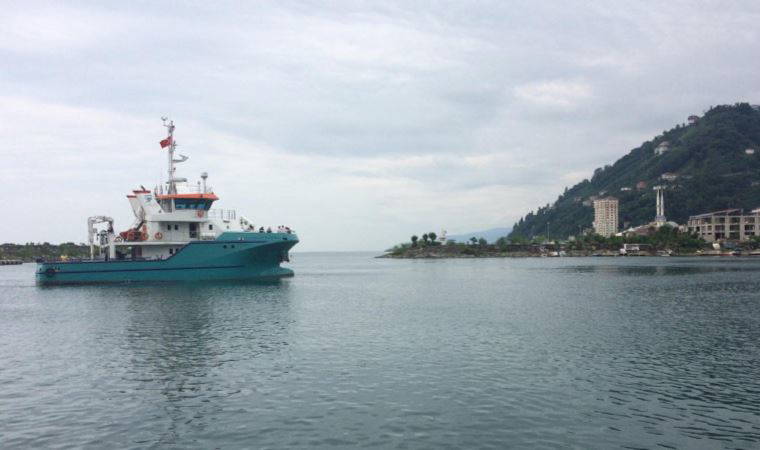 Karadeniz'de deniz suyu sıcaklığı arttı: 'Anormal seviyelerde...'