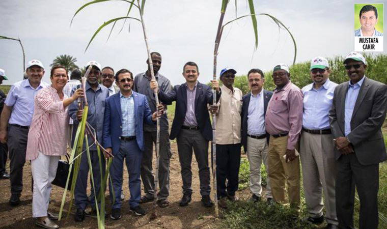 Hayali projenin hayali yöneticileri