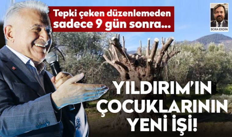 Binali Yıldırım’ın çocukları zeytin işine giriyor