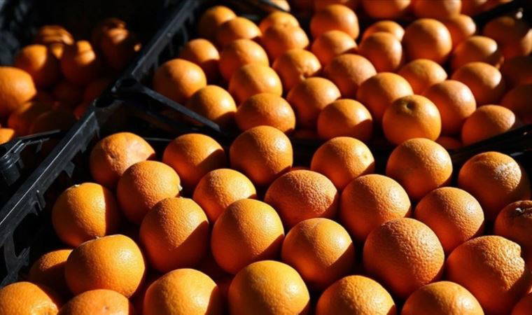 Rusya, Türkiye’den bazı tarım ürünlerinin ithalatına yönelik kısıtlamaları kaldırıldı