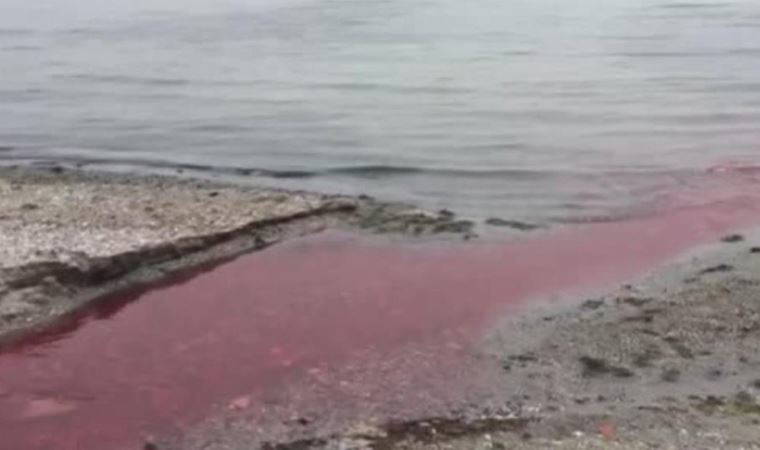 Tekirdağ'da Kamara Deresi renk değiştirdi (16 Nisan 2022) (Video Haber)