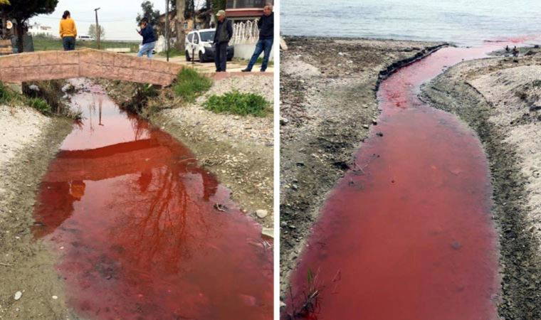 Kamara Deresi, 'kırmızı' alarm veriyor (17 Nisan 2022)