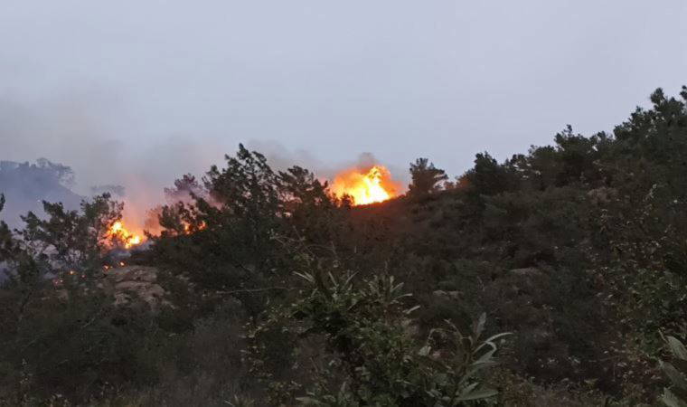 Bodrum'da orman ve makilik yangını (17 Nisan 2022) (Video Haber)