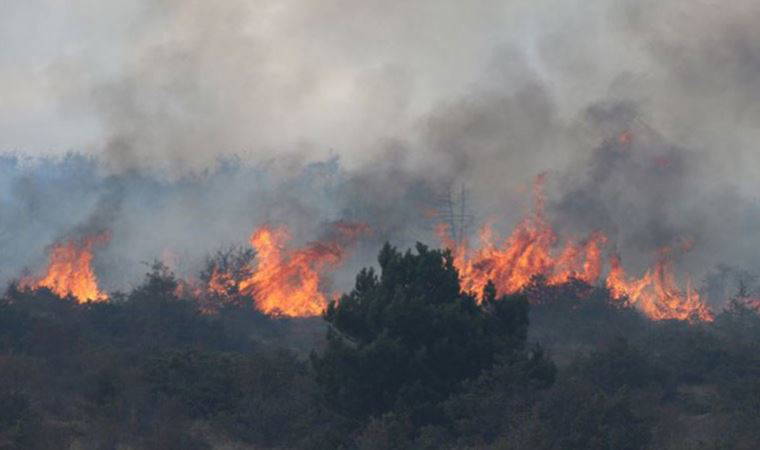 İYİ Parti'den 'orman yangınları araştırılsın' önergesi