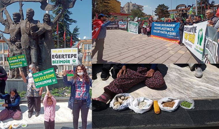 'Yeni bir doğa katliamıyla karşı karşıyayız'