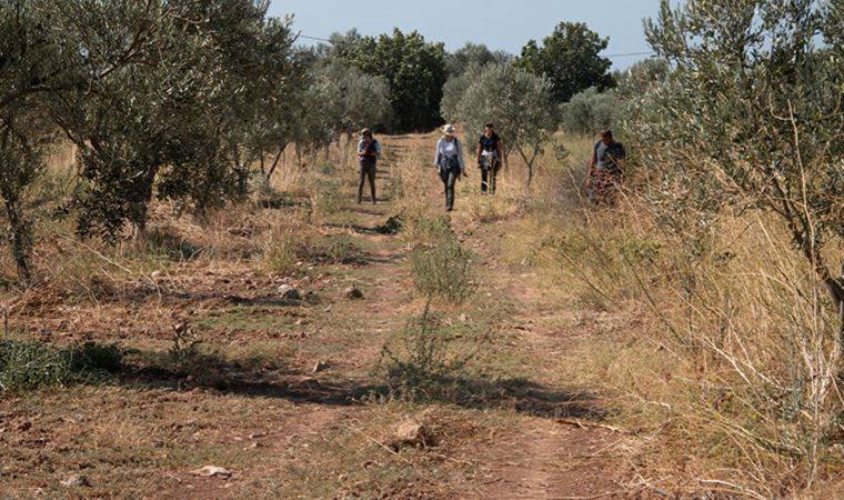 Bergama'da amfora üretim yeri keşfedildi