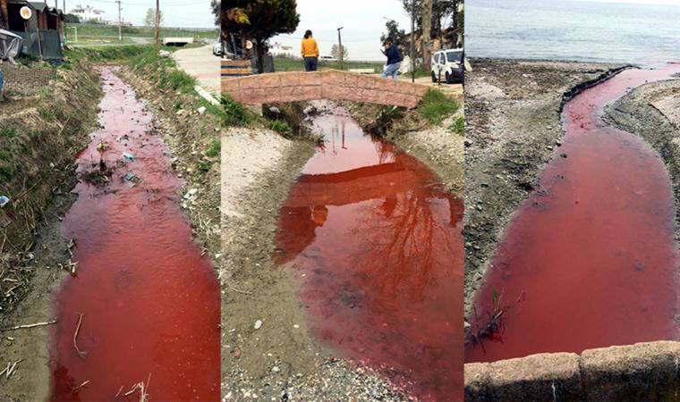 Kırmızı akıyordu