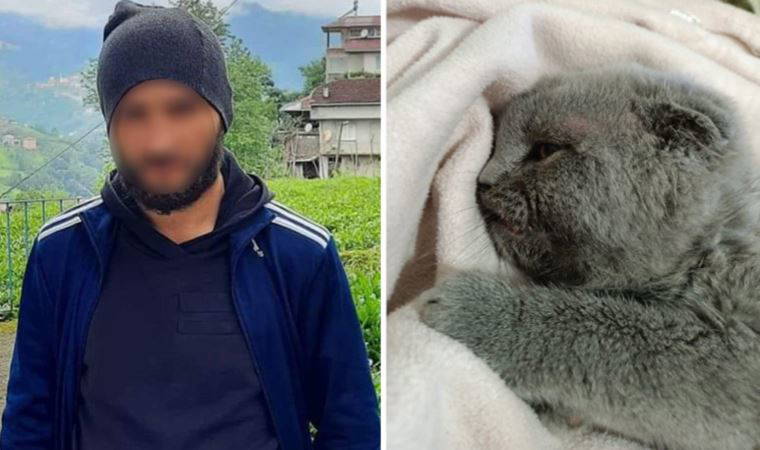 Duvara fırlatmıştı: Kedi katiline 2 yıl hapis! (27 Nisan 2022) (Video Haber)