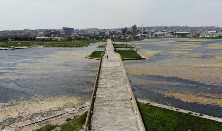 Büyükçekmece Gölü'nde yosun istilası