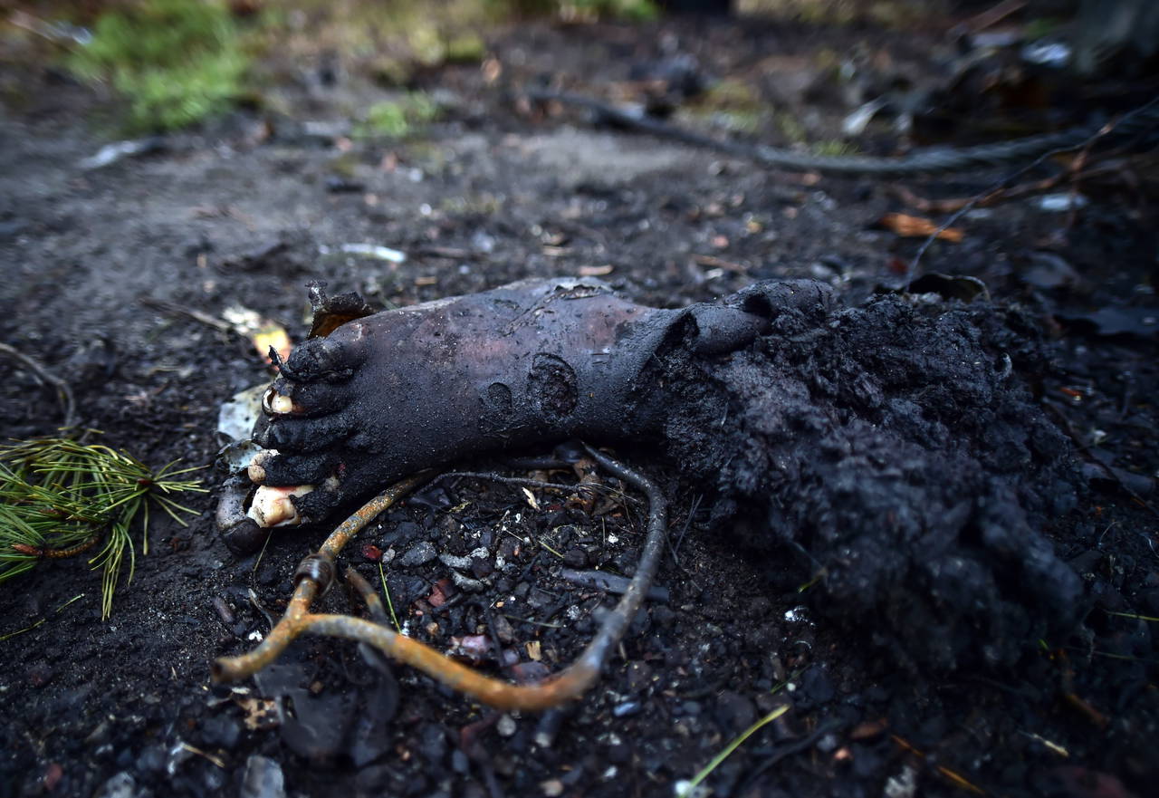 Irpin’de imha edilen Rus tankları görüntülendi