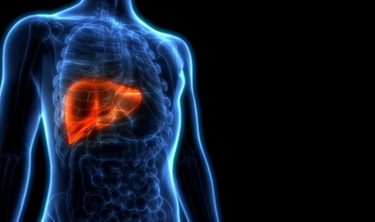 'Karaciğer yağlanmasına bağlı kanser gelişimi 10 kat arttı'