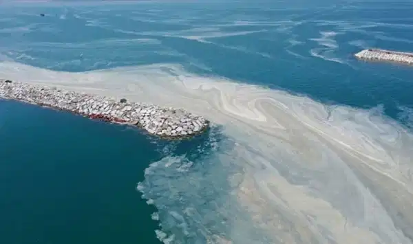 Prof. Dr. Sarı: Yeni bir müsilaj oluşumuyla karşılaşabiliriz